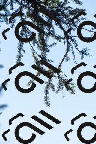 20250906104902-R01_5132_r1