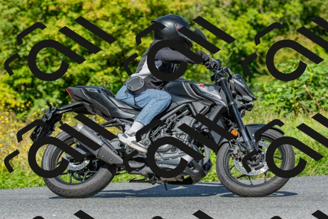 20250906105548-R01_5197_r1