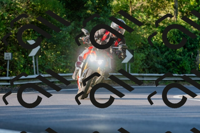 20250906085639_-R020483_r2