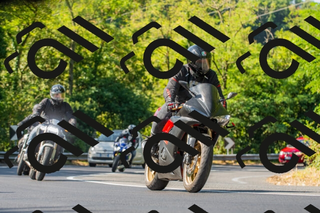 20250906104419_-R020961_r2