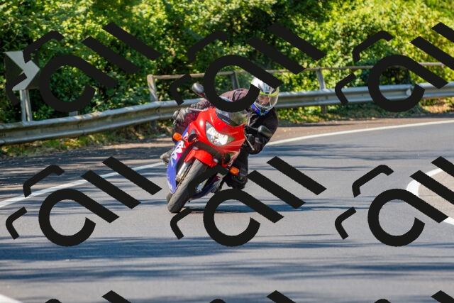 20250906121910_-R021338_r2