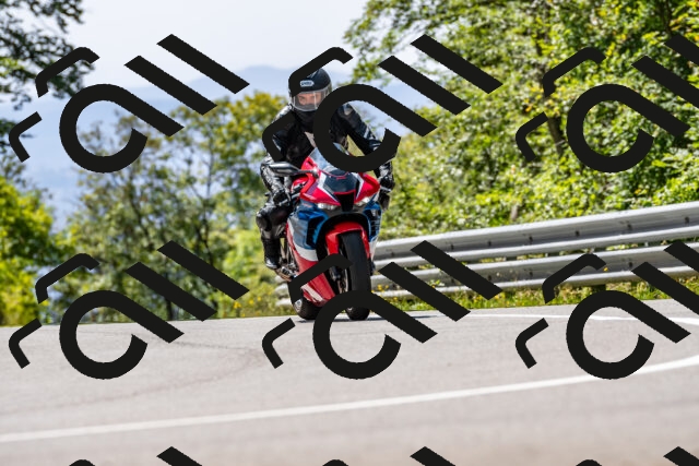 202509071252-_DSC8269_d2_