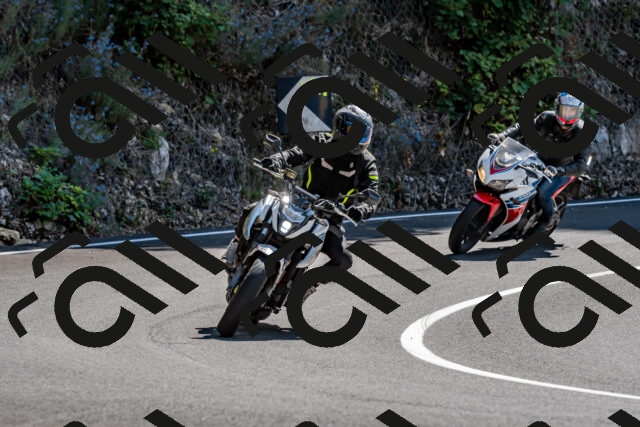 202509071253-_DSC8290_d2_