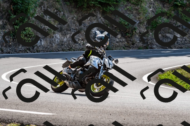 202509071253-_DSC8291_d2_