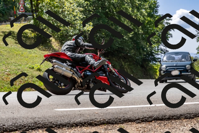 202509071254-_DSC8299_d2_