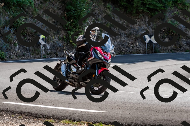 202509071254-_DSC8300_d2_