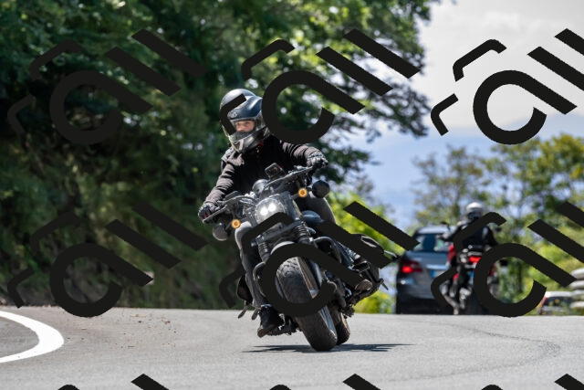 202509071255-_DSC8303_d2_