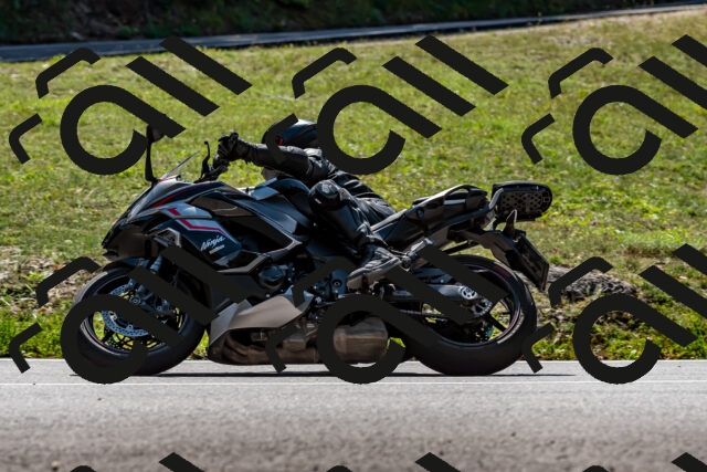 202509071255-_DSC8307_d2_