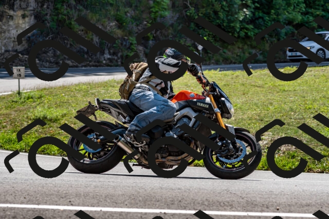 202509071256-_DSC8333_d2_