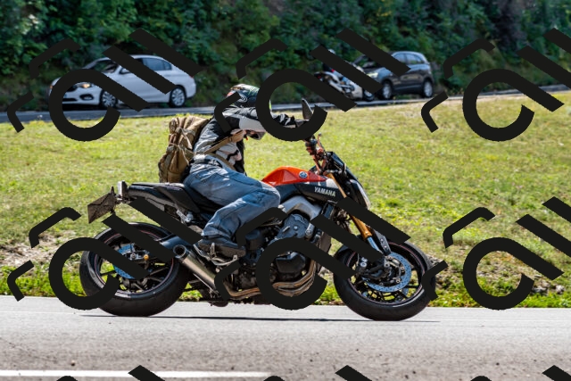 202509071256-_DSC8334_d2_