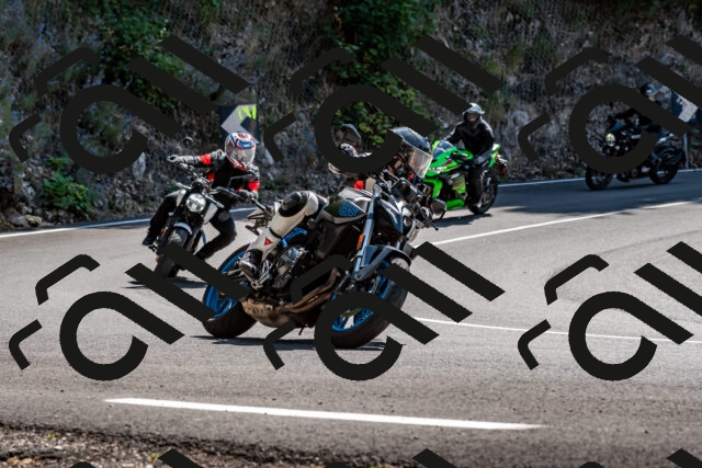 202509071256-_DSC8338_d2_