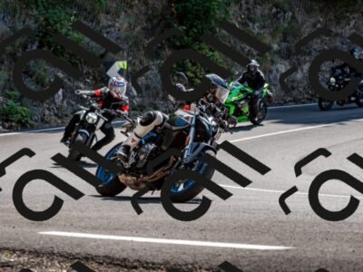 202509071256-_DSC8338_d2_