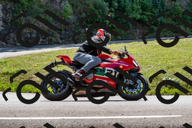 202509071258-_DSC8356_d2_