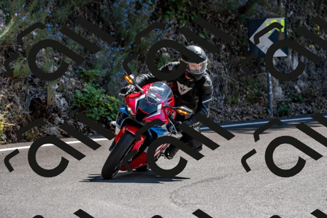 202509071304-_DSC8400_d2_