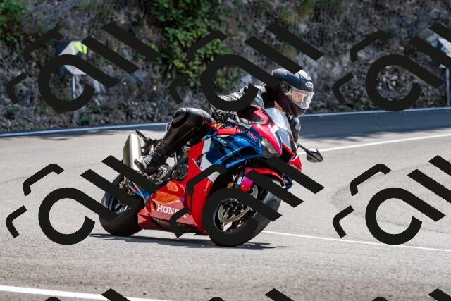 202509071304-_DSC8401_d2_