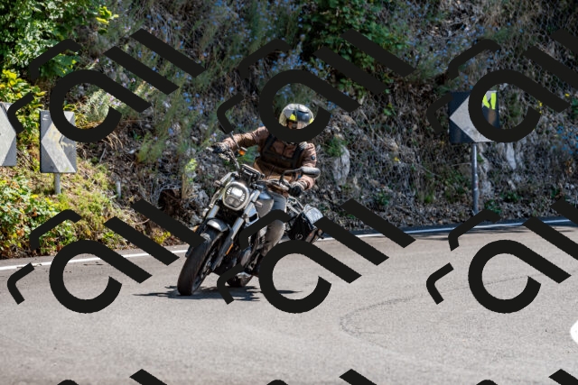 202509071312-DSC_8425_d2_