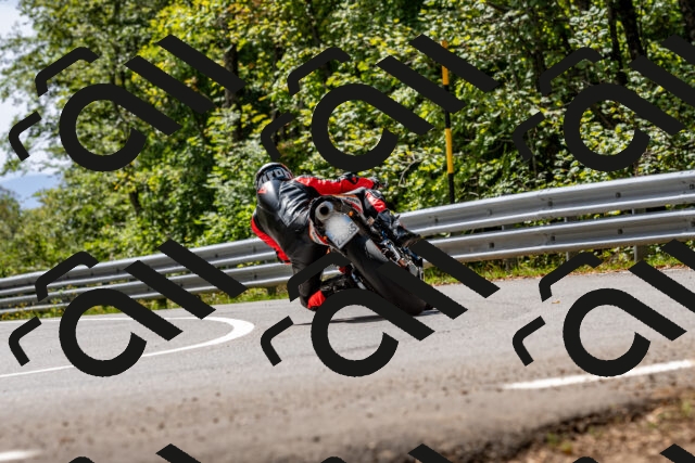 202509071314-DSC_8431_d2_