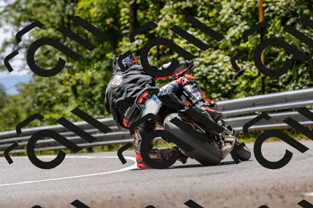 202509071316-DSC_8445_d2_