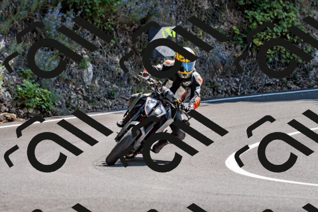 202509071318-DSC_8453_d2_