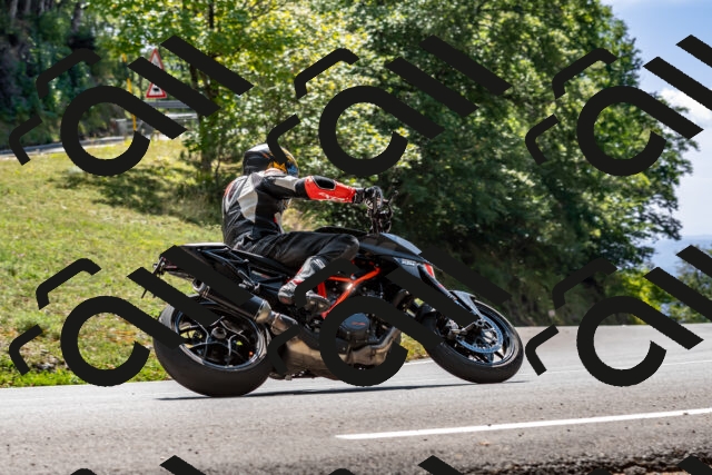 202509071318-DSC_8455_d2_