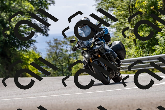 202509071320-DSC_8464_d2_