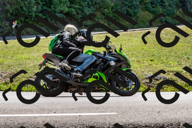 202509071324-DSC_8477_d2_