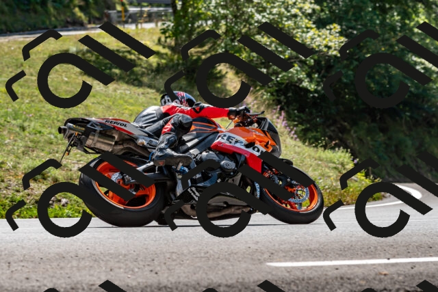 202509071325-DSC_8486_d2_