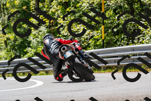 202509071325-DSC_8487_d2_