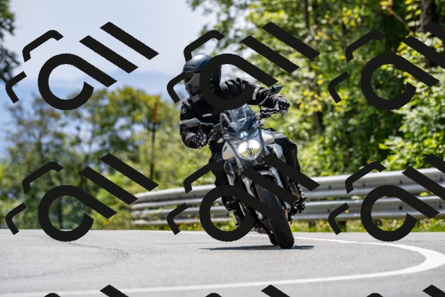 202509071337-DSC_8509_d2_