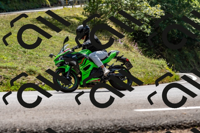 202509071337-DSC_8521_d2_