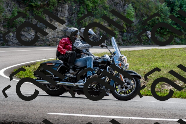 202509071347-DSC_8553_d2_