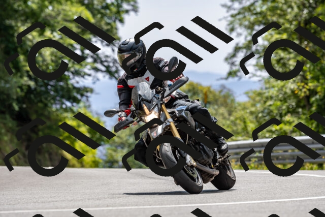 202509071350-DSC_8560_d2_