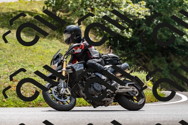 202509071350-DSC_8561_d2_