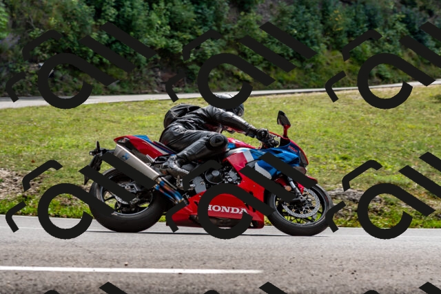 202509071352-DSC_8565_d2_