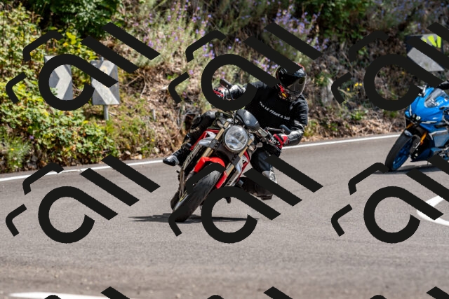 202509071352-DSC_8569_d2_