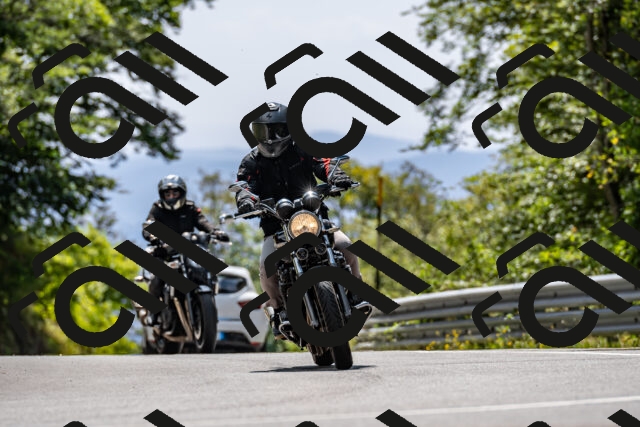 202509071353-DSC_8575_d2_