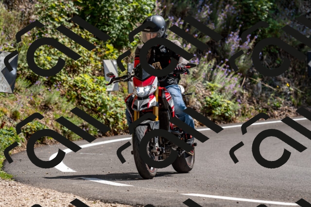 202509071355-DSC_8585_d2_