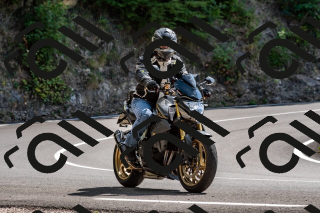 202509071355-DSC_8586_d2_