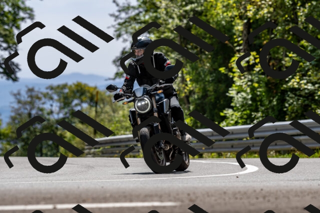 202509071358-DSC_8592_d2_