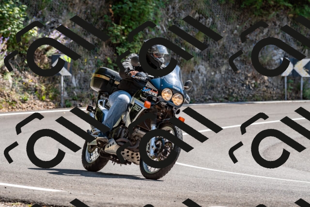 202509071410-DSC_8609_d2_