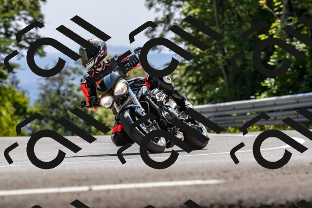 202509071436-DSC_8695_d2_