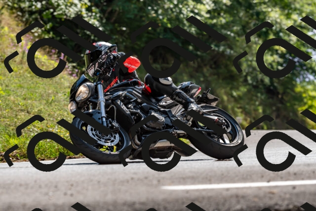 202509071436-DSC_8696_d2_