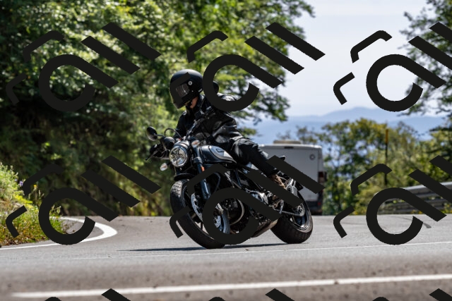 202509071445-DSC_8712_d2_