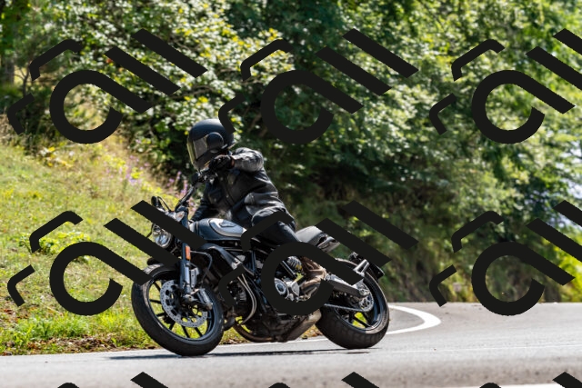 202509071445-DSC_8713_d2_