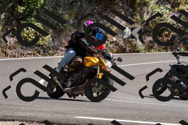 202509071445-DSC_8715_d2_