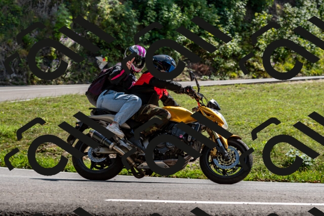 202509071445-DSC_8717_d2_