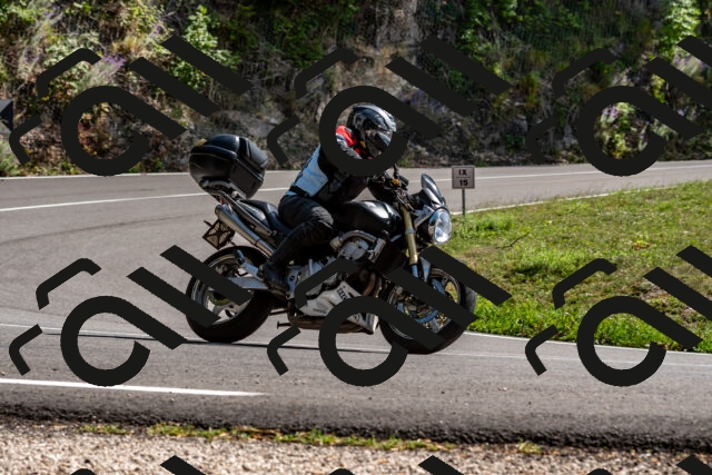 202509071455-DSC_8745_d2_