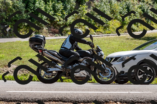 202509071455-DSC_8747_d2_