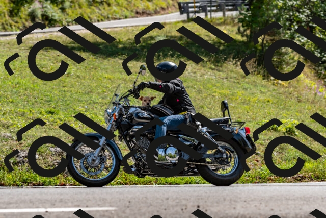 202509071456-DSC_8749_d2_