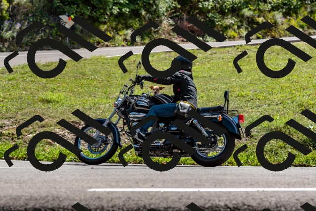 202509071456-DSC_8750_d2_